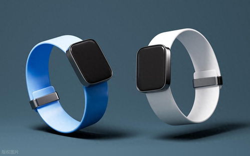 智能手環(huán) 以“小而專”的身姿，問(wèn)鼎實(shí)用王者